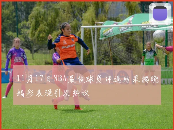 11月17日NBA最佳球员评选结果揭晓精彩表现引发热议