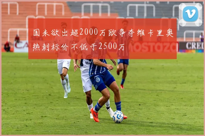 国米欲出超2000万欧争夺维卡里奥热刺标价不低于2500万